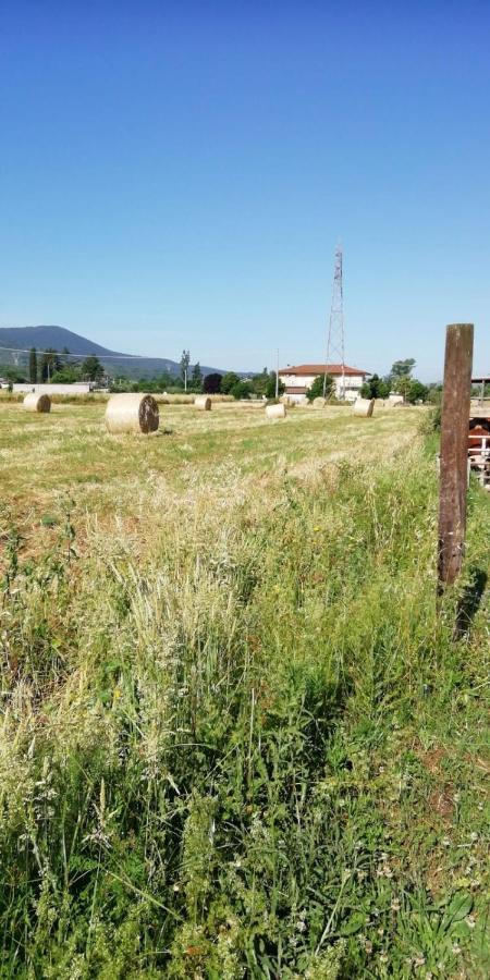 La fattoria di Carlotta Villa Maenza Esterno foto